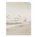 Picture of Beach Birds _GroupedProduct_Rectangle_Portrait_Photography _GroupedProduct_Rectangle_Portrait_Unframed_Print_Only_