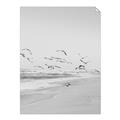 Picture of Beach Birds _GroupedProduct_Rectangle_Portrait_Photography _GroupedProduct_Rectangle_Portrait_Unframed_Print_Only_