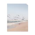 Picture of Beach Birds _GroupedProduct_Rectangle_Portrait_Photography _GroupedProduct_Rectangle_Portrait_Unframed_Print_Only_