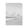 Picture of Beach Birds _GroupedProduct_Rectangle_Portrait_Photography _GroupedProduct_Rectangle_Portrait_Unframed_Print_Only_