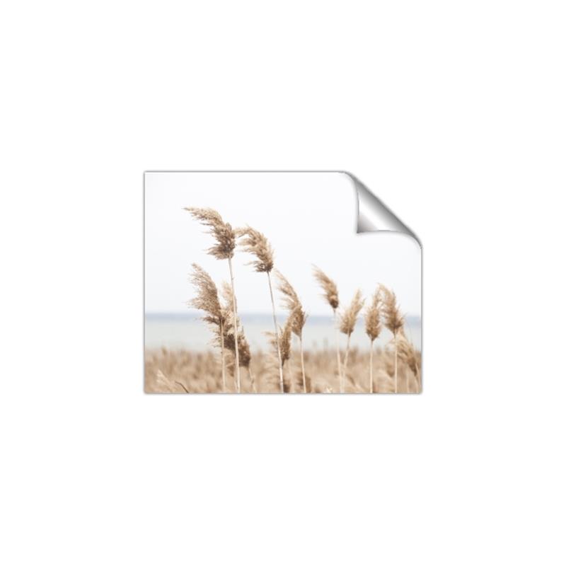 Picture of Beach Pampas _GroupedProduct_Rectangle_Landscape_Photography _GroupedProduct_Rectangle_Landscape_Unframed_Print_Only_