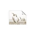 Picture of Beach Pampas _GroupedProduct_Rectangle_Landscape_Photography _GroupedProduct_Rectangle_Landscape_Unframed_Print_Only_