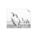 Picture of Beach Pampas _GroupedProduct_Rectangle_Landscape_Photography _GroupedProduct_Rectangle_Landscape_Unframed_Print_Only_