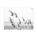 Picture of Beach Pampas _GroupedProduct_Rectangle_Landscape_Photography _GroupedProduct_Rectangle_Landscape_Unframed_Print_Only_
