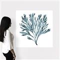 Picture of Teal Coral  _GroupedProduct_Square_Canvas_