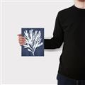Picture of Navy Coral II  _GroupedProduct_Rectangle_Portrait_Canvas_