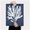 Picture of Navy Coral II  _GroupedProduct_Rectangle_Portrait_Canvas_