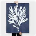 Picture of Navy Coral II  _GroupedProduct_Rectangle_Portrait_Canvas_