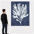 Picture of Navy Coral II  _GroupedProduct_Rectangle_Portrait_Canvas_