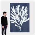 Picture of Navy Coral II  _GroupedProduct_Rectangle_Portrait_Canvas_