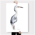 Picture of Egret I  _GroupedProduct_Rectangle_Portrait_Canvas_