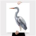 Picture of Egret II  _GroupedProduct_Rectangle_Portrait_Canvas_