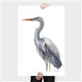 Picture of Egret II  _GroupedProduct_Rectangle_Portrait_Canvas_