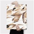 Picture of All the Shells  _GroupedProduct_Rectangle_Portrait_Photography _GroupedProduct_Rectangle_Portrait_Canvas_