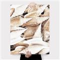 Picture of All the Shells  _GroupedProduct_Rectangle_Portrait_Photography _GroupedProduct_Rectangle_Portrait_Canvas_
