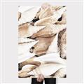 Picture of All the Shells  _GroupedProduct_Rectangle_Portrait_Photography _GroupedProduct_Rectangle_Portrait_Canvas_
