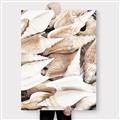Picture of All the Shells  _GroupedProduct_Rectangle_Portrait_Photography _GroupedProduct_Rectangle_Portrait_Canvas_