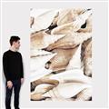 Picture of All the Shells  _GroupedProduct_Rectangle_Portrait_Photography _GroupedProduct_Rectangle_Portrait_Canvas_