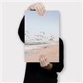 Picture of Beach Birds _GroupedProduct_Rectangle_Portrait_Photography _GroupedProduct_Rectangle_Portrait_Canvas_