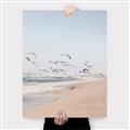 Picture of Beach Birds _GroupedProduct_Rectangle_Portrait_Photography _GroupedProduct_Rectangle_Portrait_Canvas_