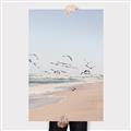 Picture of Beach Birds _GroupedProduct_Rectangle_Portrait_Photography _GroupedProduct_Rectangle_Portrait_Canvas_