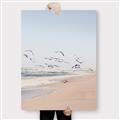 Picture of Beach Birds _GroupedProduct_Rectangle_Portrait_Photography _GroupedProduct_Rectangle_Portrait_Canvas_