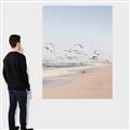Picture of Beach Birds _GroupedProduct_Rectangle_Portrait_Photography _GroupedProduct_Rectangle_Portrait_Canvas_