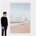 Picture of Beach Birds _GroupedProduct_Rectangle_Portrait_Photography _GroupedProduct_Rectangle_Portrait_Canvas_