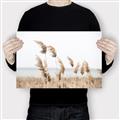 Picture of Beach Pampas _GroupedProduct_Rectangle_Landscape_Photography _GroupedProduct_Rectangle_Landscape_Canvas_