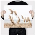Picture of Beach Pampas _GroupedProduct_Rectangle_Landscape_Photography _GroupedProduct_Rectangle_Landscape_Canvas_