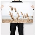 Picture of Beach Pampas _GroupedProduct_Rectangle_Landscape_Photography _GroupedProduct_Rectangle_Landscape_Canvas_