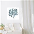 Picture of Teal Coral  _GroupedProduct_Square_Canvas_