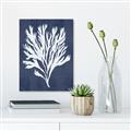 Picture of Navy Coral II  _GroupedProduct_Rectangle_Portrait_Canvas_