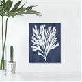 Picture of Navy Coral II  _GroupedProduct_Rectangle_Portrait_Canvas_