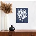 Picture of Navy Coral II  _GroupedProduct_Rectangle_Portrait_Canvas_