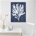Picture of Navy Coral II  _GroupedProduct_Rectangle_Portrait_Canvas_
