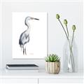 Picture of Egret I  _GroupedProduct_Rectangle_Portrait_Canvas_