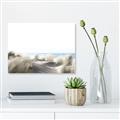 Picture of Sandy Beach I _GroupedProduct_Rectangle_Landscape_Photography _GroupedProduct_Rectangle_Landscape_Canvas_