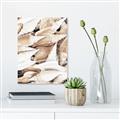 Picture of All the Shells  _GroupedProduct_Rectangle_Portrait_Photography _GroupedProduct_Rectangle_Portrait_Canvas_