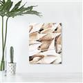 Picture of All the Shells  _GroupedProduct_Rectangle_Portrait_Photography _GroupedProduct_Rectangle_Portrait_Canvas_