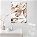 Picture of All the Shells  _GroupedProduct_Rectangle_Portrait_Photography _GroupedProduct_Rectangle_Portrait_Canvas_
