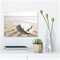 Picture of Surfboard on the Sand _GroupedProduct_Rectangle_Landscape_Photography _GroupedProduct_Rectangle_Landscape_Canvas_