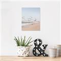Picture of Beach Birds _GroupedProduct_Rectangle_Portrait_Photography _GroupedProduct_Rectangle_Portrait_Canvas_