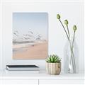 Picture of Beach Birds _GroupedProduct_Rectangle_Portrait_Photography _GroupedProduct_Rectangle_Portrait_Canvas_