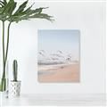 Picture of Beach Birds _GroupedProduct_Rectangle_Portrait_Photography _GroupedProduct_Rectangle_Portrait_Canvas_