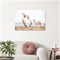 Picture of Beach Pampas _GroupedProduct_Rectangle_Landscape_Photography _GroupedProduct_Rectangle_Landscape_Canvas_