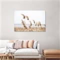 Picture of Beach Pampas _GroupedProduct_Rectangle_Landscape_Photography _GroupedProduct_Rectangle_Landscape_Canvas_
