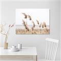 Picture of Beach Pampas _GroupedProduct_Rectangle_Landscape_Photography _GroupedProduct_Rectangle_Landscape_Canvas_