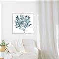 Picture of Teal Coral  _GroupedProduct_Square_Canvas_Framed_