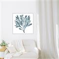 Picture of Teal Coral  _GroupedProduct_Square_Canvas_Framed_